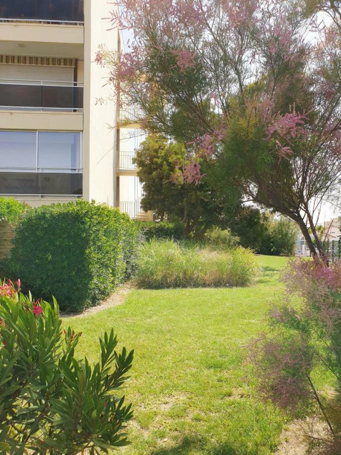 Studio Moderne Avec Parking Et Piscine- 313 Кане Экстерьер фото